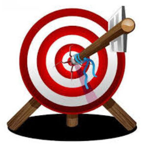 Foto de perfil de Market Focus